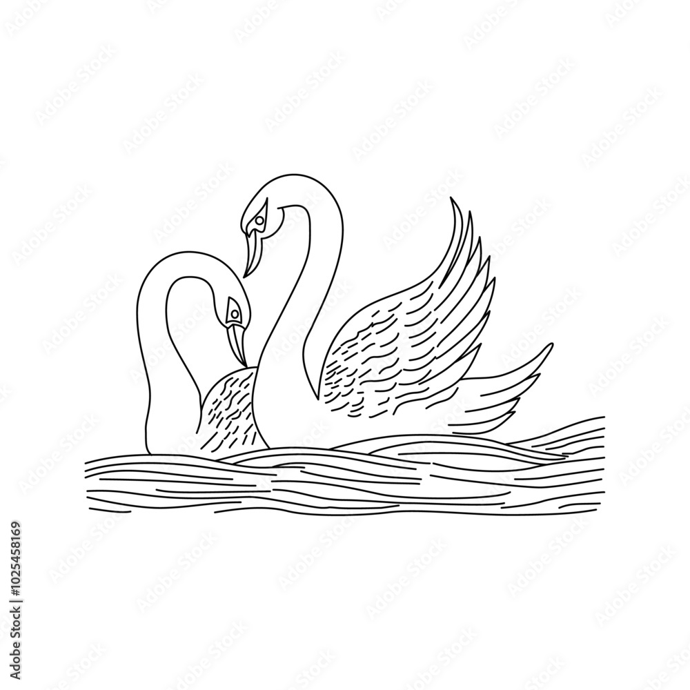 Fototapeta premium Swan