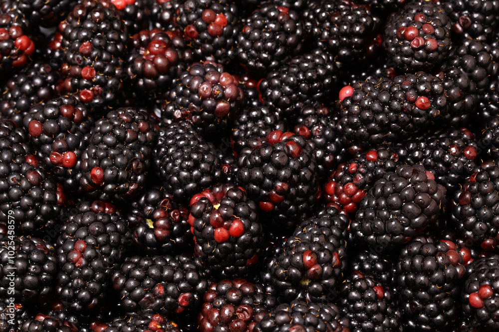 Background image of harvested ripe organic blackberries. Background image of harvested ripe organic blackberries.