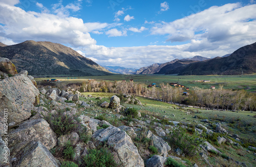 Natural Altai highland grassland natural background on the bank of river Bolshoy Ilgumen. photo