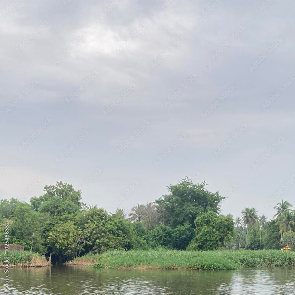 Fototapeta premium lake in the forest