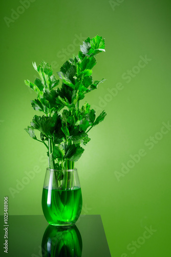 Vertical view of growing fresh green celery on green background with copy space for text. rule of third