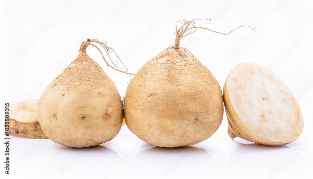 Jicama on white background. Jicama Isolated. Jicama on white background. Jicama Isolated.
