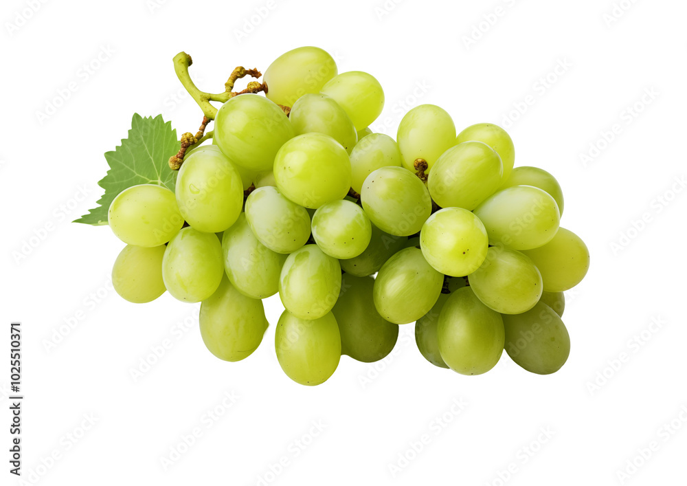 Fresh Green Grapes With Leaf Isolated On Clean Transparent Background Fresh Green Grapes With Leaf Isolated On Clean Transparent Background