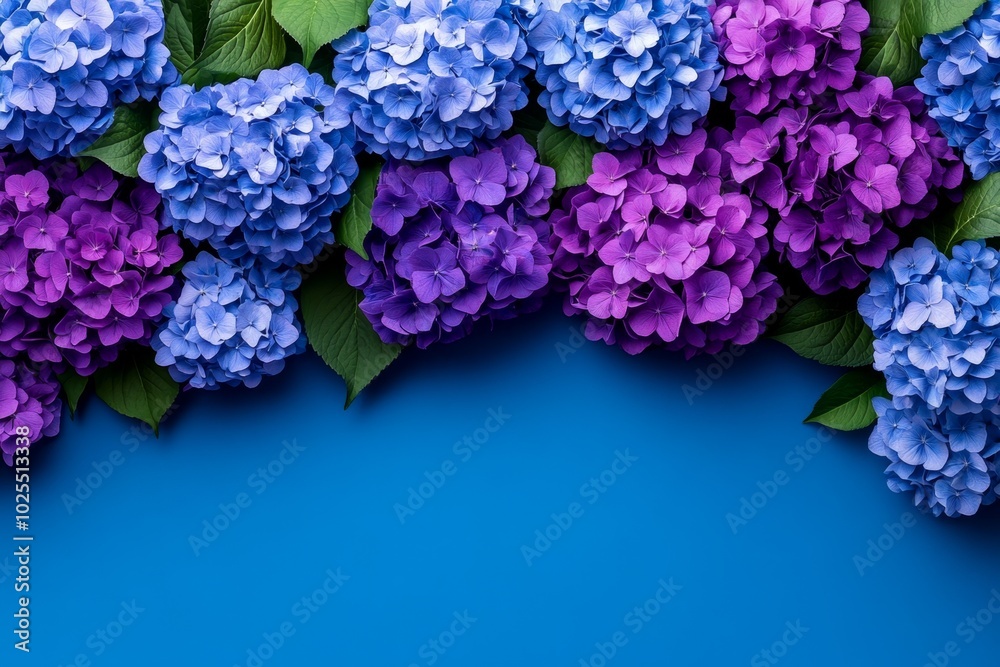 Fototapeta premium Hydrangeas in shades of blue and purple, creating a lush, full floral pattern that covers the gift card surface in rich, vibrant blooms