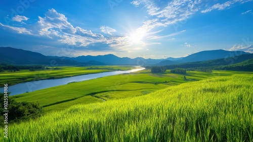 Serene Green Landscape with River and Sunlight