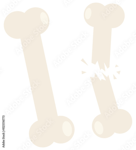 Broken bone fracture flat icon vector illustration isolated on white background.