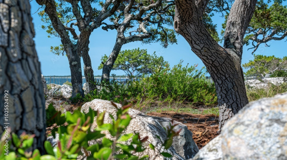 Fototapeta premium Coastal Landscape with Twisted Trees and Rocks