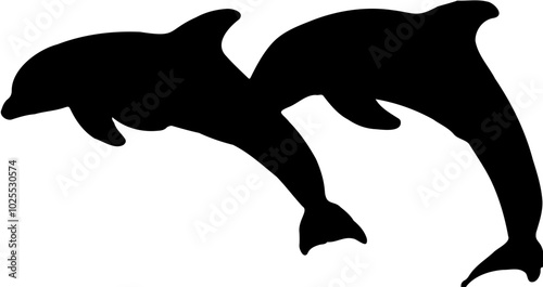 vector silhouette of a dolphin in a transparant background