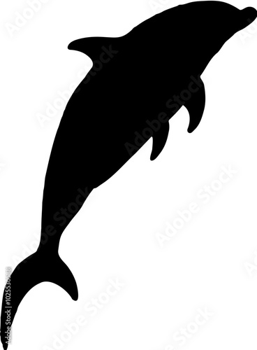 vector silhouette of a dolphin in a transparant background