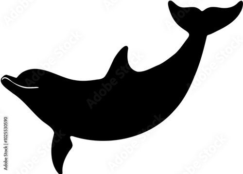 vector silhouette of a dolphin in a transparant background