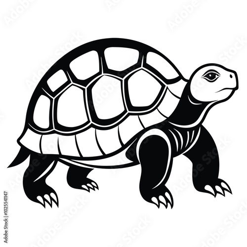 Solid color Radiated Tortoise animal vector design photo