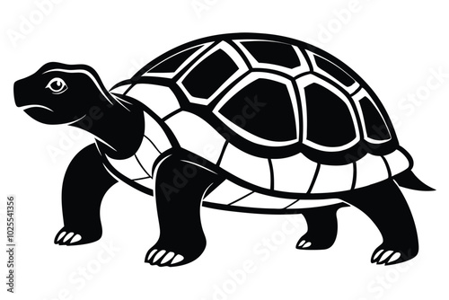 Solid color Radiated Tortoise animal vector design photo