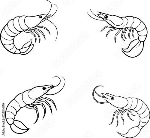 set of shrimp