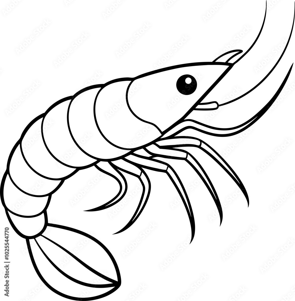 illustration of fish illustration of fish