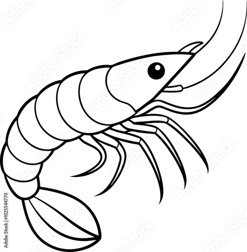illustration of fish