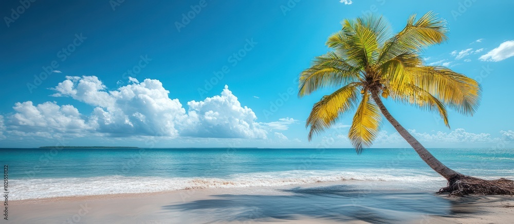 Obraz premium A single palm tree leans over a white sand beach with turquoise water and blue sky.