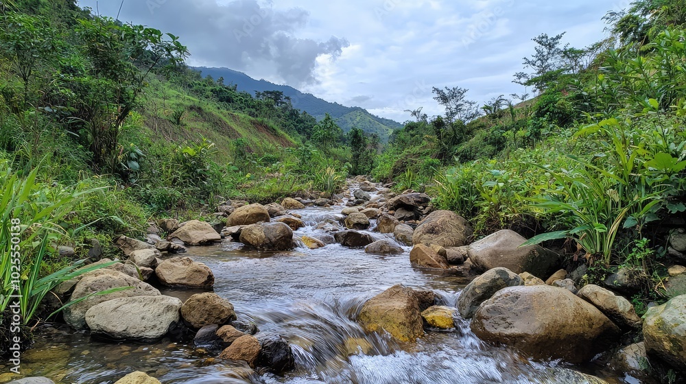 Serene Mountain Stream Surrounded by Lush Greenery Serene Mountain Stream Surrounded by Lush Greenery