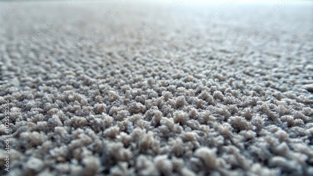 Description: Close-up of gray carpet with short pile texture Description: Close-up of gray carpet with short pile texture