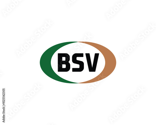 BSV logo design vector template. BSV photo