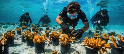 Fototapeta Naklejka Na Ścianę i Meble -  Divers planting coral on the ocean floor.