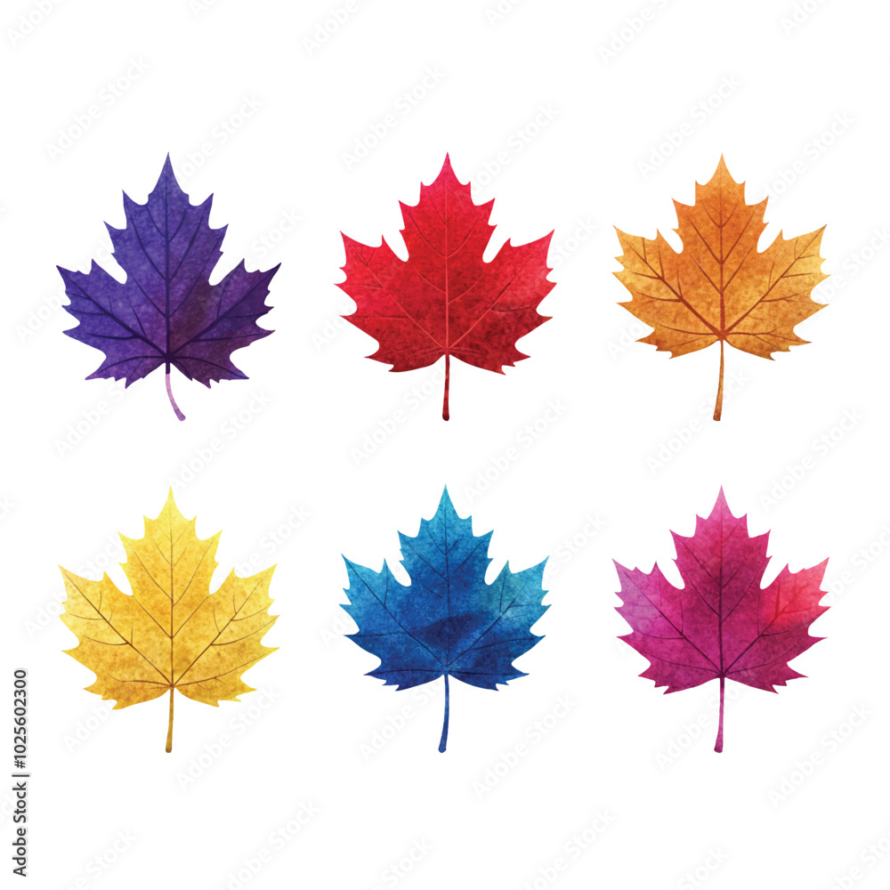 Fototapeta premium Collection of six watercolor maple leaves in a spectrum of autumn colors