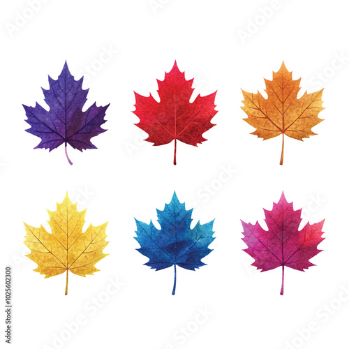 Collection of six watercolor maple leaves in a spectrum of autumn colors