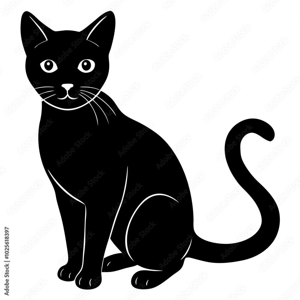 black and white cat black and white cat