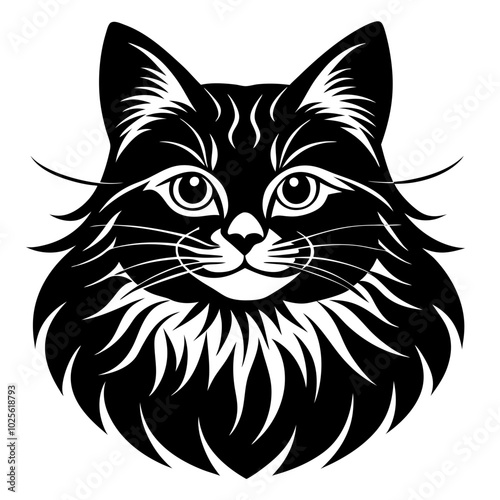 black and white cat