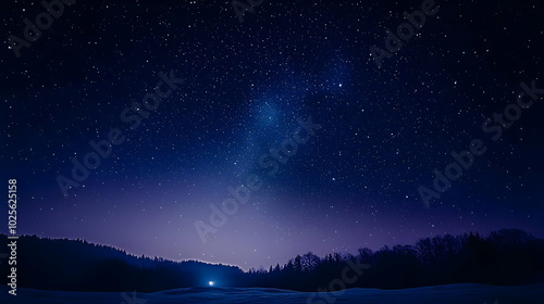 A Stunning Night Sky with a Silhouette of Trees and a Field of Snow