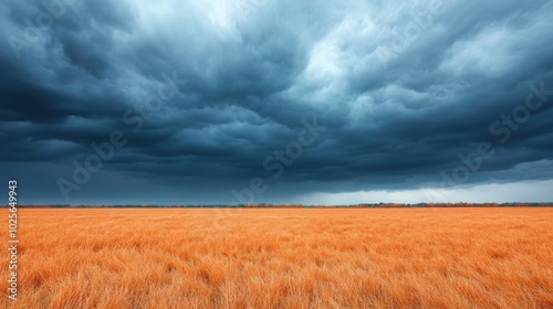 Dark Storm Clouds Gathering Over a Golden Field