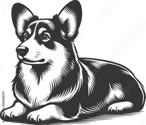 Pembroke Welsh corgi dog silhouette vector design