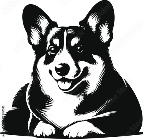 Pembroke Welsh corgi dog silhouette vector design