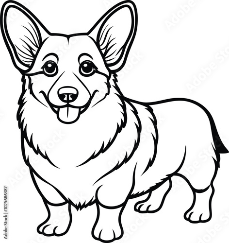 Pembroke Welsh Corgi dog breed vector black line illustration isolated on a white background.