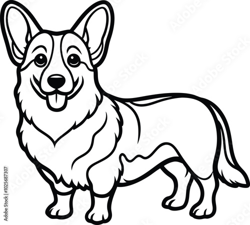 Pembroke Welsh Corgi dog breed vector black line illustration isolated on a white background.