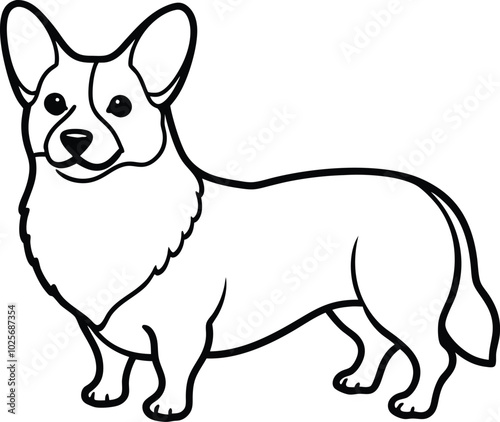 Pembroke Welsh Corgi dog breed vector black line illustration isolated on a white background.