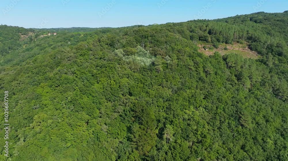 Mountain Covered With Dense Forest. Aerial Shot Mountain Covered With Dense Forest. Aerial Shot
