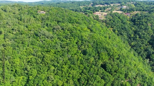 Lush Green Woodland On Mountain. drone sideways shot photo