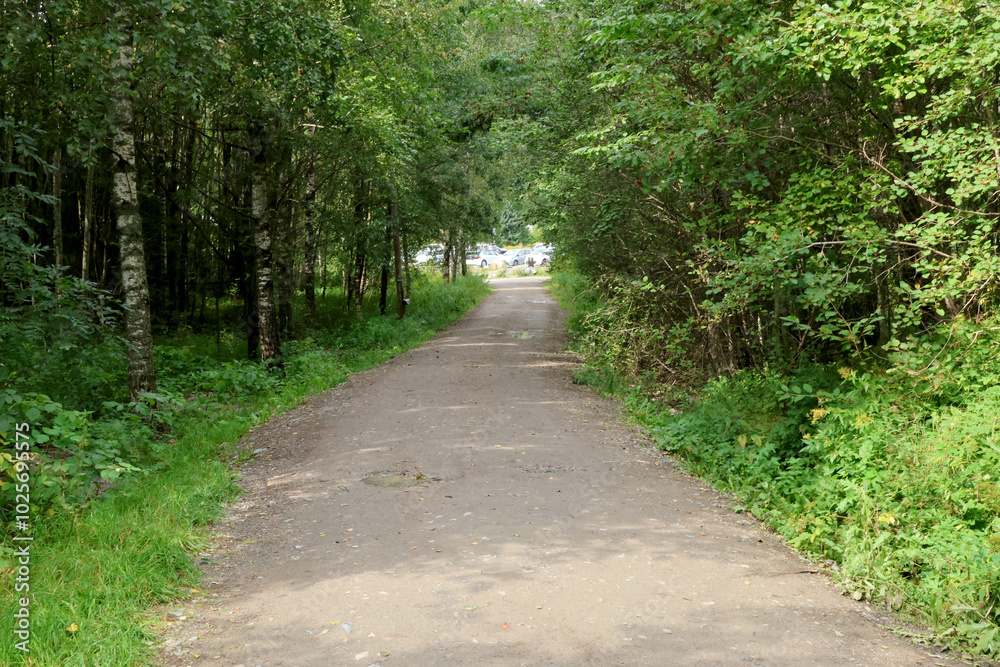Fototapeta premium Path