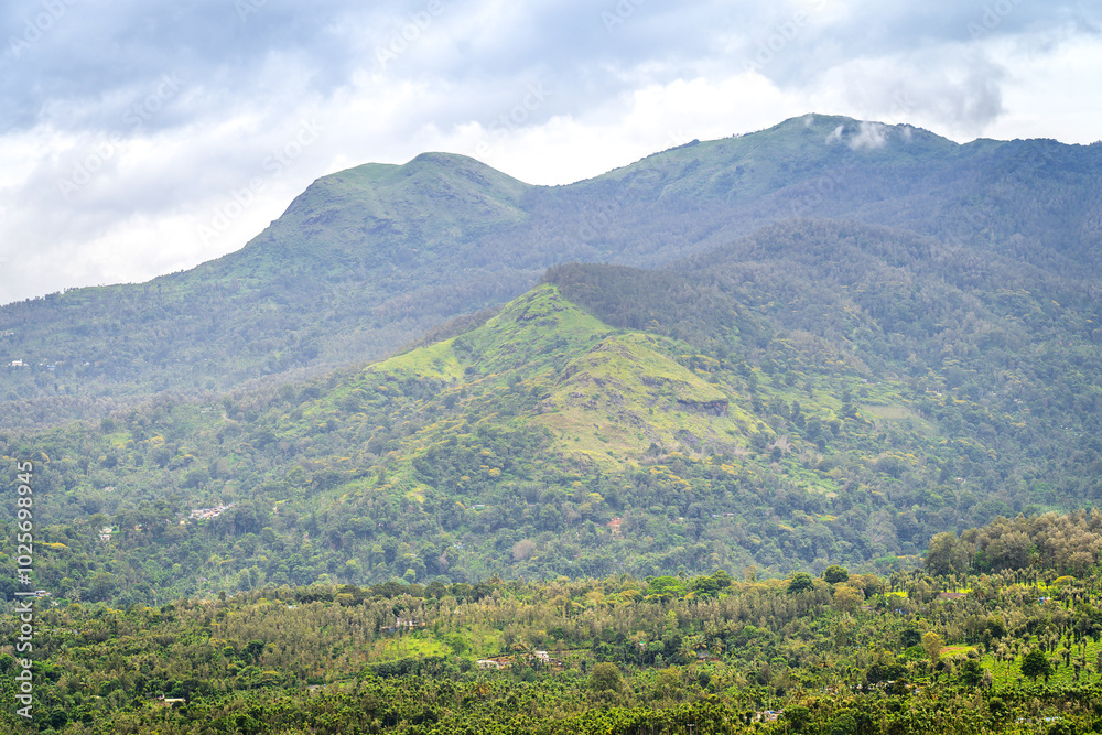 Fototapeta premium Yellamalai from Gudalur, Tamil Nadu - A Plantation Village in Tamil Nadu Neelagiri District.