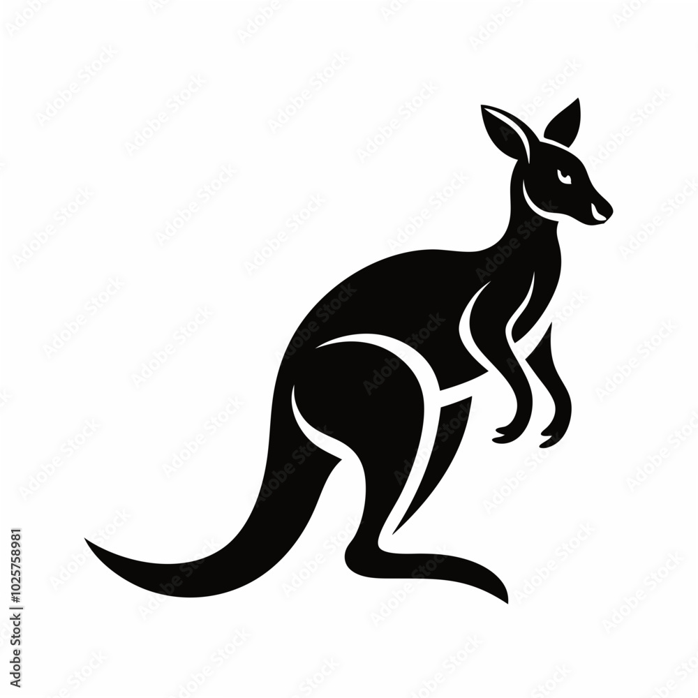 kangaroo kangaroo
