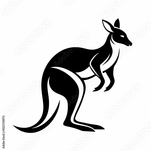 kangaroo