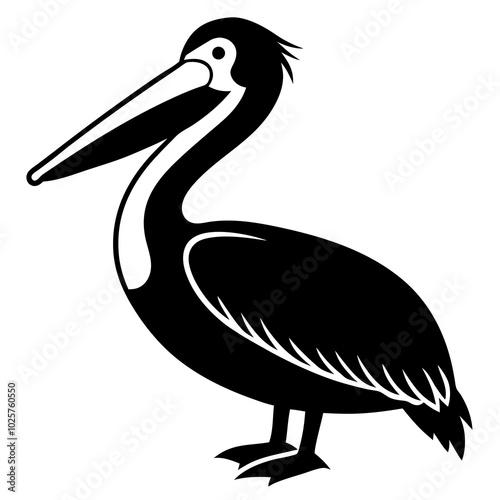 illustration of a pelican