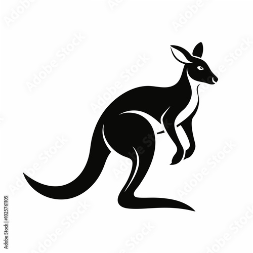 kangaroo