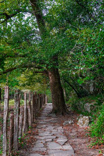 Trails in the Zugarramurdi forest. Navarra. Spain photo