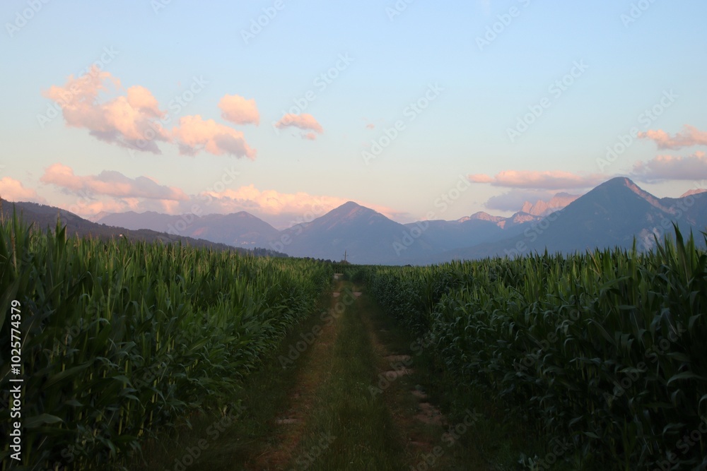Obraz premium sunset in the Austrian mountains.