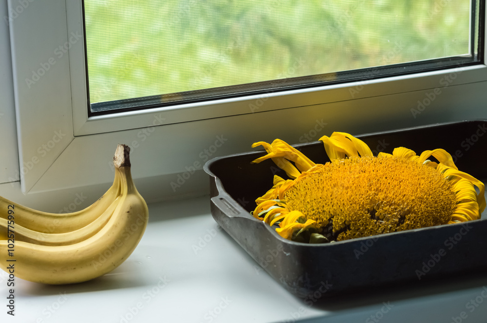Sunflower and bananas on the windowsill. Selective focus.