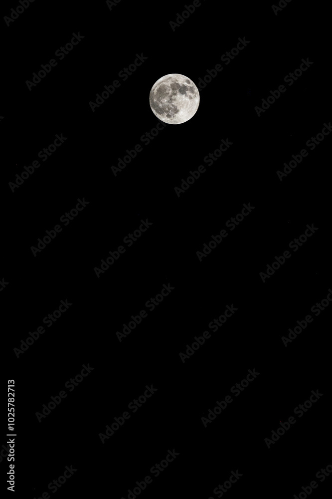 A large, bright moon is rising in the night sky vertical framing. The sky is dark and the moon is the only source of light. A large, bright moon is rising in the night sky vertical framing. The sky is dark and the moon is the only source of light.