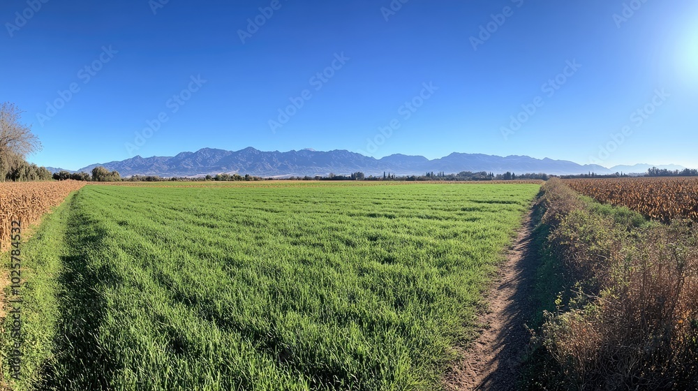 Expansive Bright Green Field with Mountains in Background Expansive Bright Green Field with Mountains in Background