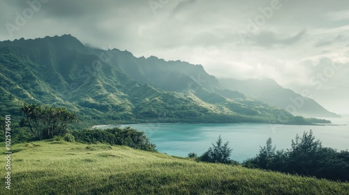 Tranquil Serenity of Green Mountains Meeting the Sea on a Hazy Day in Tropical Island of Mo'orea