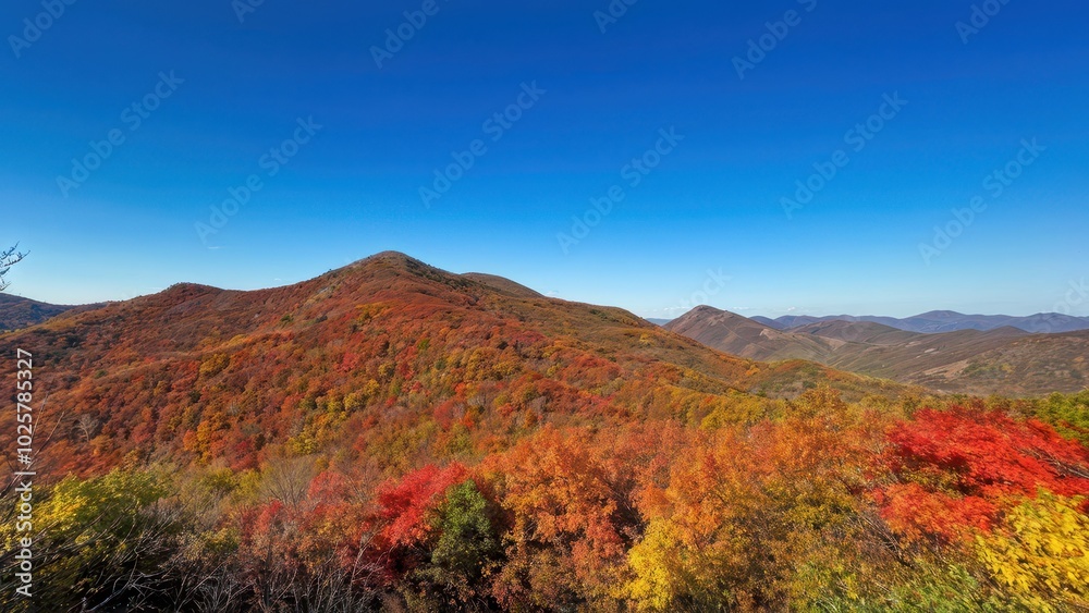 Scenic autumn landscape with vibrant foliage under a clear blue sky. Scenic autumn landscape with vibrant foliage under a clear blue sky.